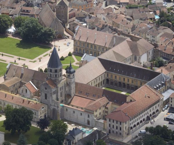 Burgundy: Cluny Abbey Entrance Ticket – Bourgogne-Franche-Comté, France