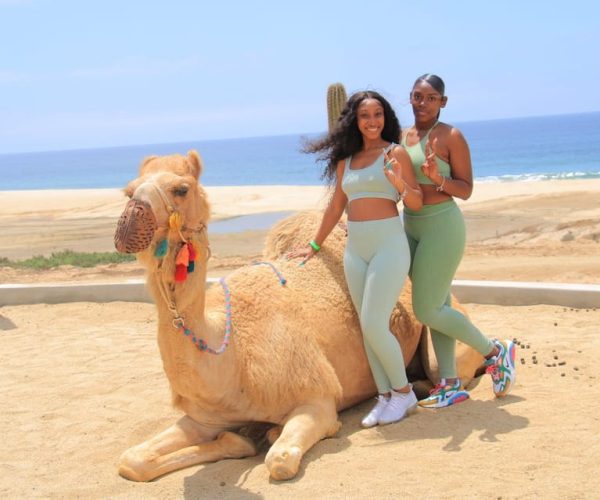 Cabo Beach: Desert Camel Tour with Mega Burrito & Tequila – Baja California Sur, Mexico