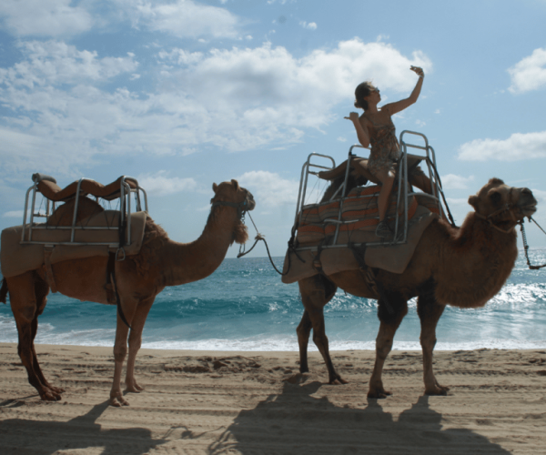 Cabo San Lucas: Amazing Camel Adventure on the Beach – Cabo San Lucas, Mexico