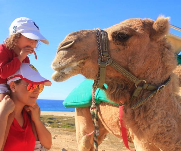 Cabo San Lucas: Combo Camel Ride & Off-Road UTV Adventure – Cabo San Lucas, Mexico