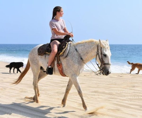 Cabo San Lucas: Desert ATV & Beach Horseback Combo – Cabo San Lucas, Mexico