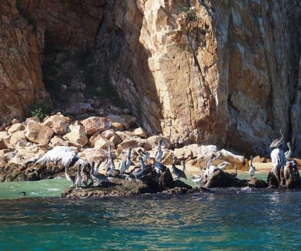 Cabo San Lucas Glass Bottom Boat – Cabo San Lucas, Mexico