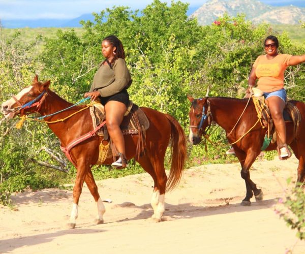 Cabo San Lucas: Horseback Riding Migriño – Cabo San Lucas, Mexico