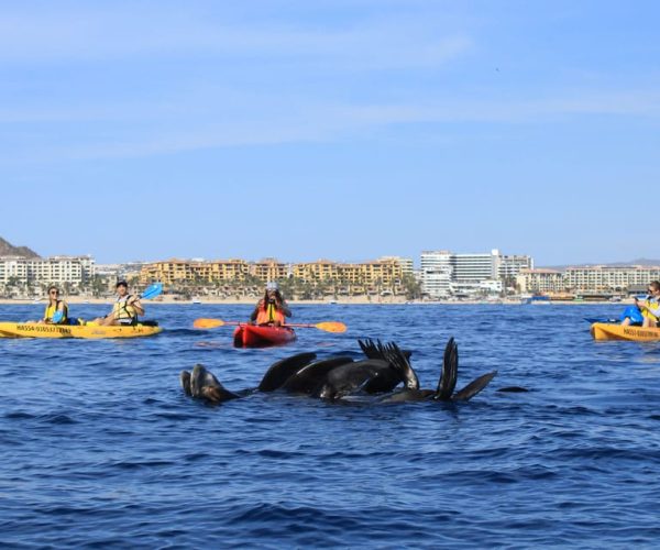 Cabo San Lucas: Kayak to The Arch, Lovers Beach & Snorkel – Cabo San Lucas, Mexico