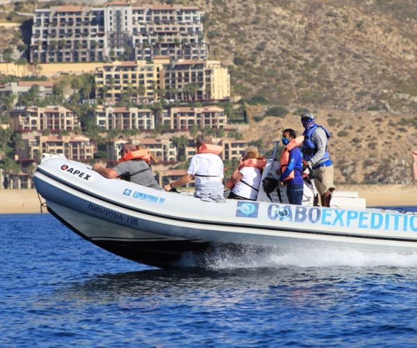 Cabo San Lucas: Up Close Whale Watching Small Group Tour – Cabo San Lucas, Mexico