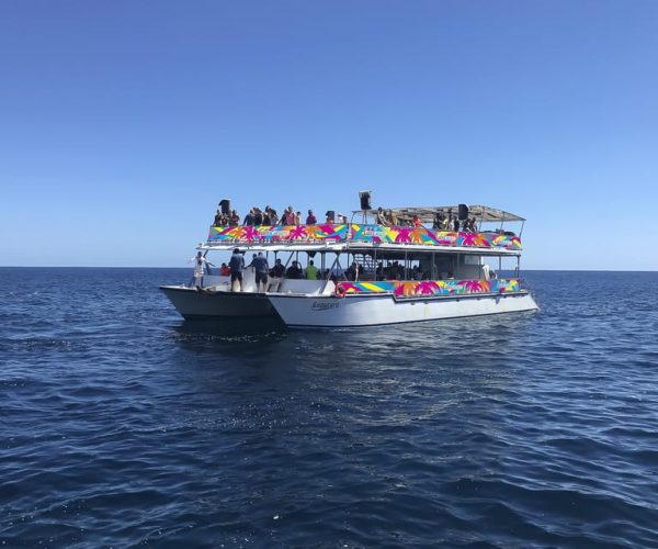 Cabo San Lucas: Whale Watching Breakfast Cruise – Cabo San Lucas, Mexico