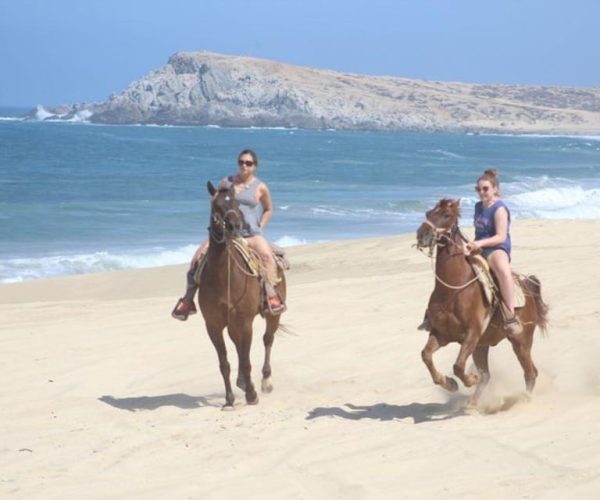 Cabo San Lucas: White Sand Horseback Adventure – Cabo San Lucas, Mexico