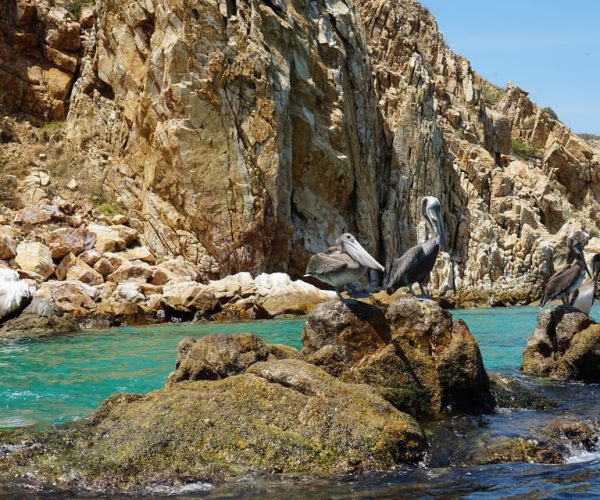 Cabo San Lucas: glass-bottom boat ride to “End of the Earth” – Cabo San Lucas, Mexico