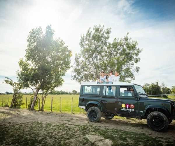 Camargue: Half-Day 4×4 Guided Safari Adventure – Occitanie, France