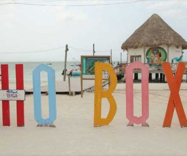 Cancun: Holbox Island Birdwatching and Wildlife Adventure – Cancun, Mexico