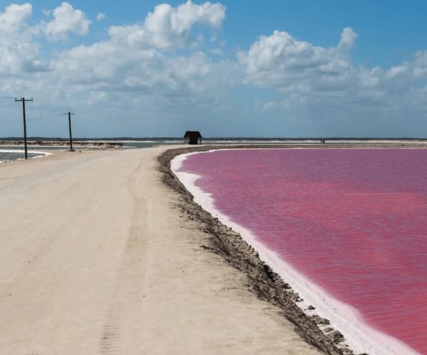 Cancun: Las Coloradas and Rio Lagartos Pink Lakes Day Trip – Cancun, Mexico