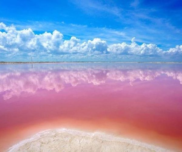 Cancun: Las Coloradas and Río Lagartos Private Tour – Cancun, Mexico