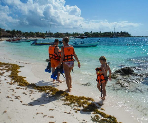 Cancun: Marine Turtle Observation in Akumal – Cancun, Mexico