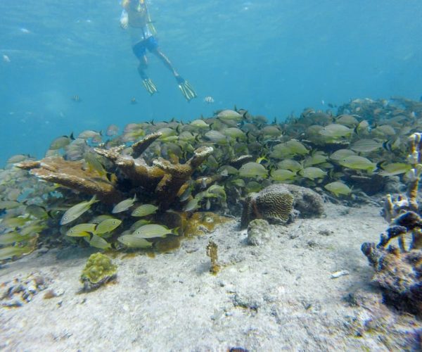 Cancun: Private Snorkeling Tour with Pickup and Drop-off – Cancun, Mexico