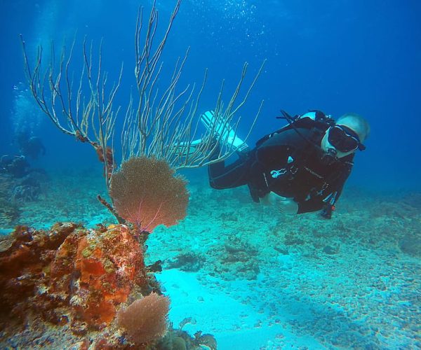 Cancun: Scuba Diving for Certified Divers at 3 Locations – Cancun, Mexico