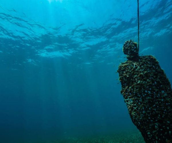 Cancun: Snorkeling Tour at MUSA The Underwater Museum – Cancun, Mexico