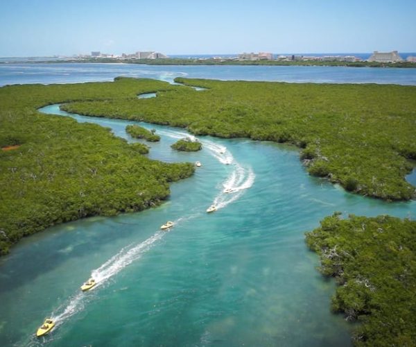 Cancun: Speedboat Mangrove Jungle & Snorkel Tour – Cancun, Mexico