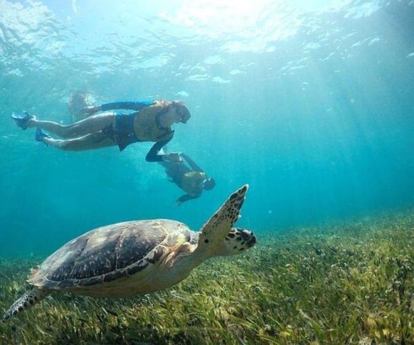 Cancun: Swim with Turtles, Reef, Underwater Museum Tour – Cancun, Mexico