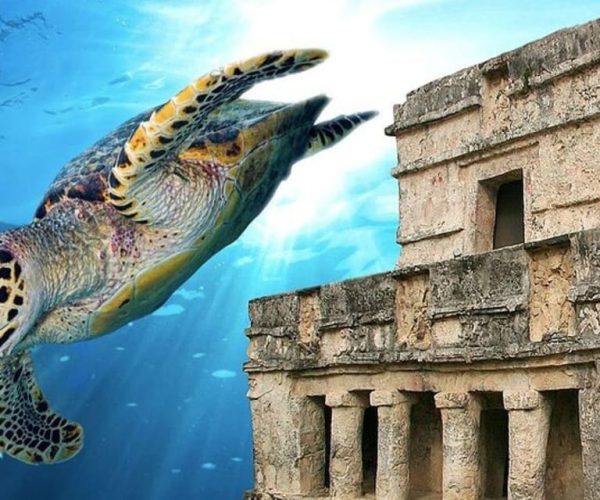 Cancun: Tulum Ruins & Snorkeling with Sea Turtles Tour – Cancun, Mexico