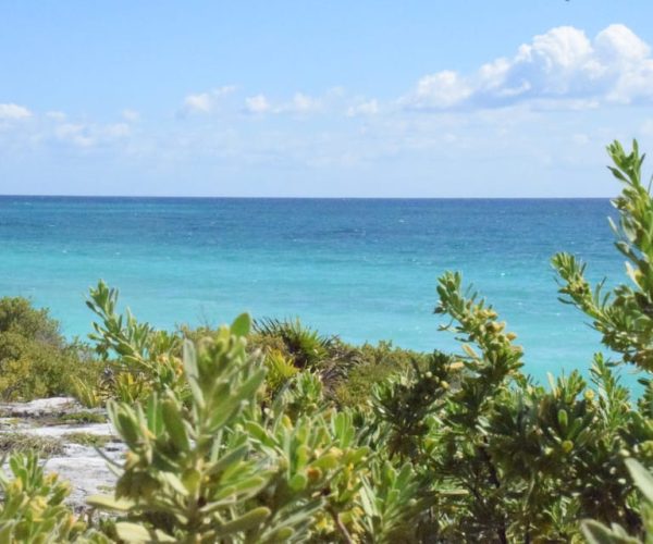 Cancun: Tulum Ruins and Cenotes Trip w/Snorkeling and Lunch – Cancun, Mexico