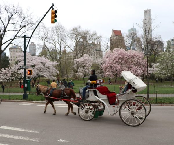 Carriage Ride to/from Tavern On The Green (Up to 4 Adults) – New York City, New York