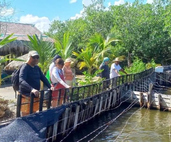 Cartagena: Canoe Tour through Mangroves – Cartagena, Colombia