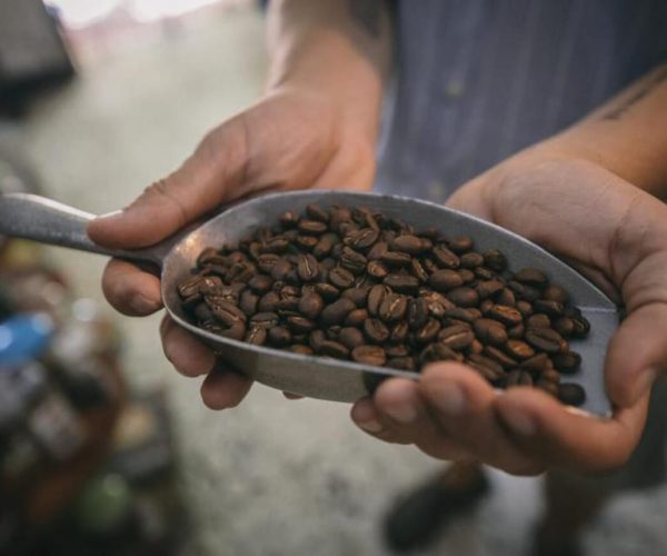 Cartagena: History of Coffee and Preparation Masterclass – Cartagena, Colombia