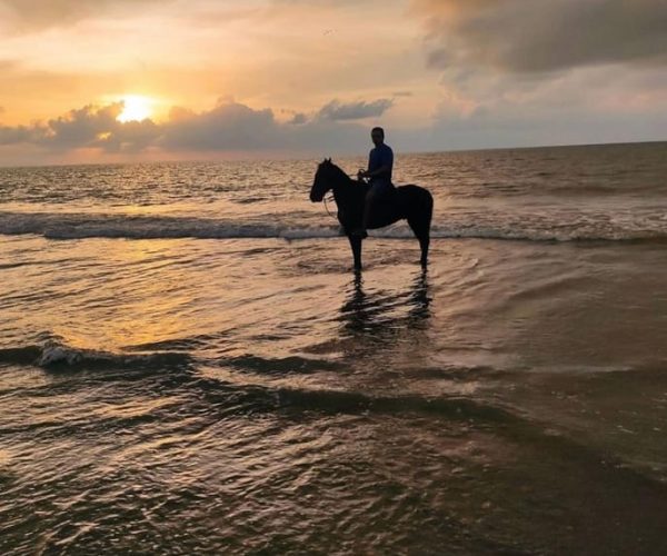 Cartagena: Horseback Ridding Excursion on the Beach – Cartagena, Colombia