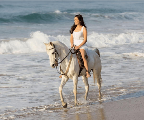 Cartagena: Sunset Tour On Horseback Along The Beach – Cartagena, Colombia