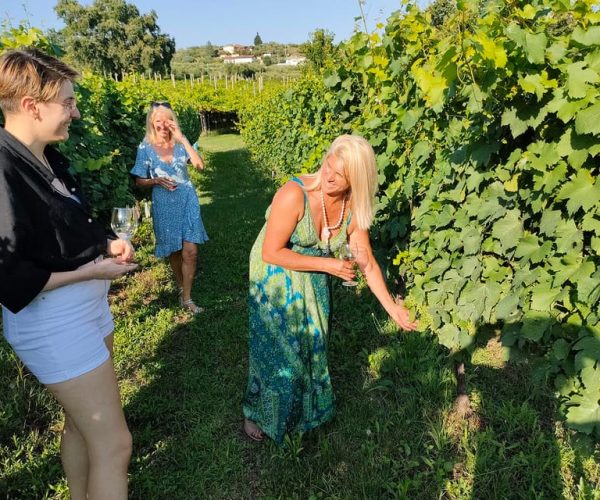 Cavaion: Lake Garda Wine & Food Tasting with Vineyard Tour – Veneto, Italy