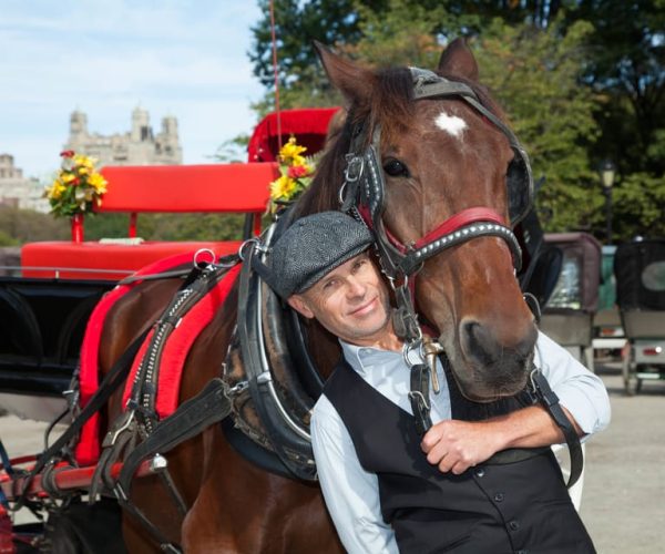 Central Park: Short Horse Carriage Ride (Up to 4 Adults) – New York City, New York