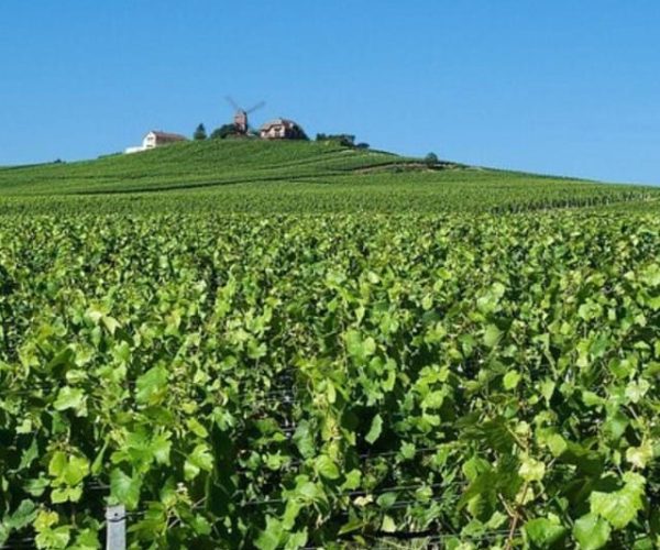 Champagne Region from Paris: Reims and Champagne Tasting – Paris, France