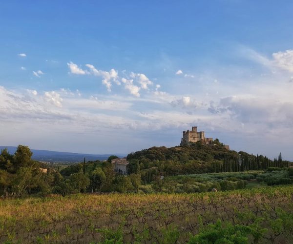 Château du Barroux : Whisky-Cheese Workshop & distillery – Provence-Alpes-Côte d’Azur, France