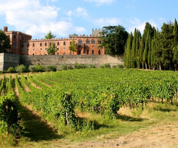 Chianti: Private Tour & Wine Tasting at Castle-Wineries – Tuscany, Italy