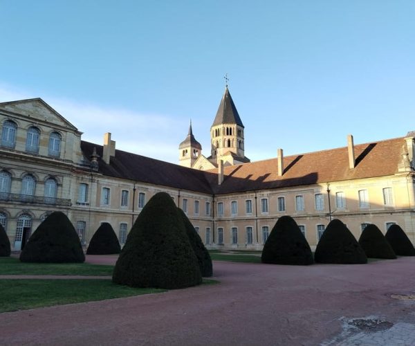 Cluny Abbey : Private Guided Tour with “ticket included” – Bourgogne-Franche-Comté, France