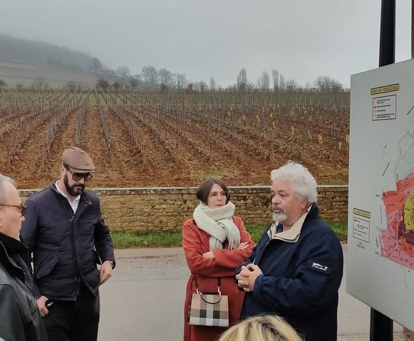 Côte de Nuits Private Local Wineries and Wine Tasting Tour – Bourgogne-Franche-Comté, France