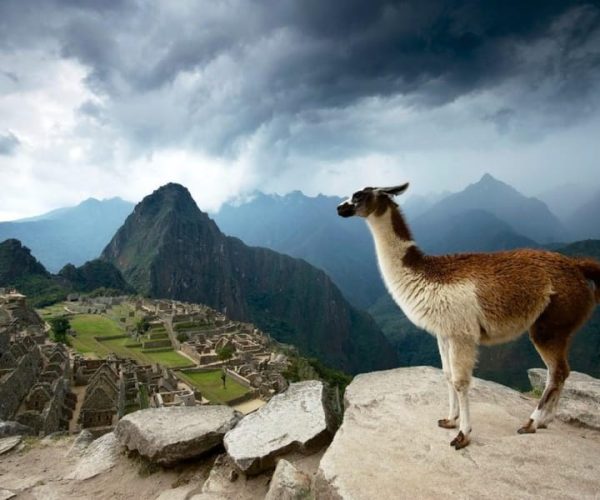 Cusco – Machu Picchu – 4 Days & 3 Nights – Cusco, Peru