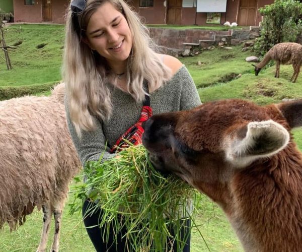 Cusco: Sanctuary of Animals rescued “Cochahuasi” – Cusco, Peru