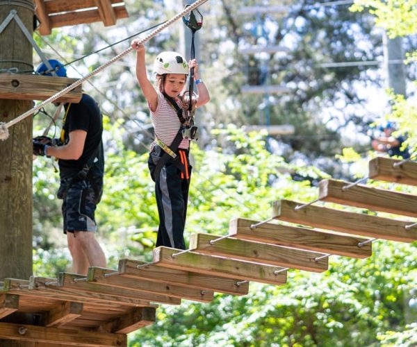 Dallas: Aerial Adventure Course Park Pass – Dallas, Texas