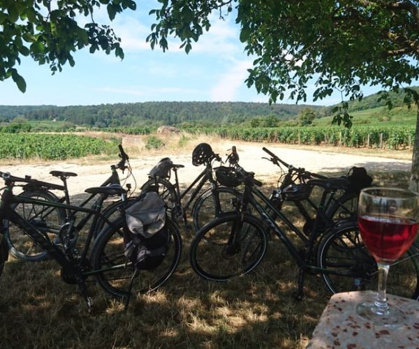 Dijon: Half-Day Guided Gourmet Bike Tour – Bourgogne-Franche-Comté, France