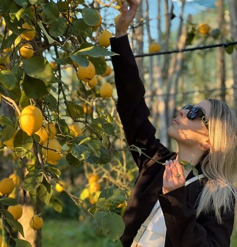 Discover, Harvest & Taste Sorrento Lemons – Sorrento, Italy