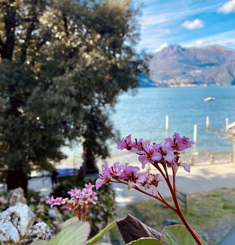 Discover Lake Como & Bellagio with a local – Lombardy, Italy