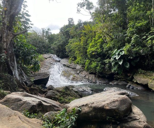 El Yunque Rainforest Water Slide & Luquillo Beach Tour – Rio Grande, Puerto Rico