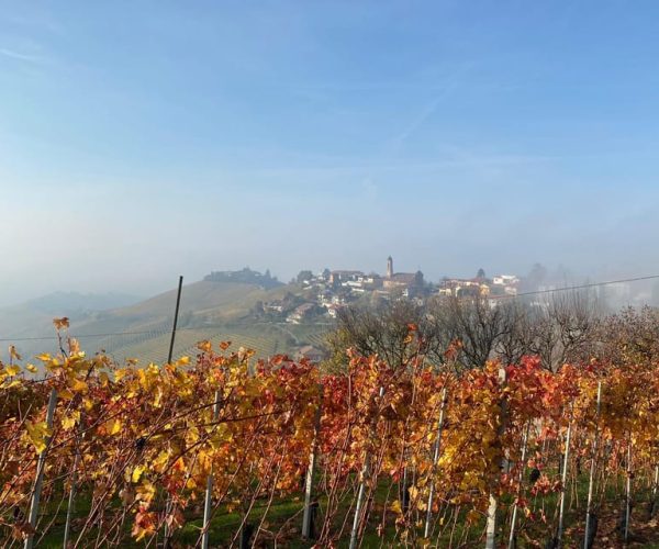 Escape on the road Delitto a Barbaresco play visit and taste – Piedmont, Italy