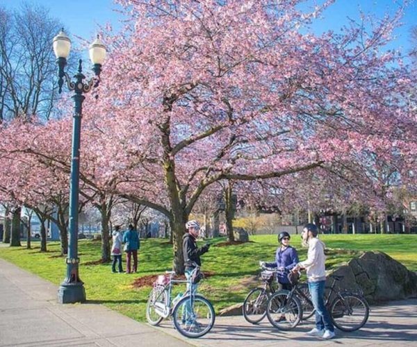 Essential Portland: 2-Hour Guided Bike Tour – Portland, Oregon