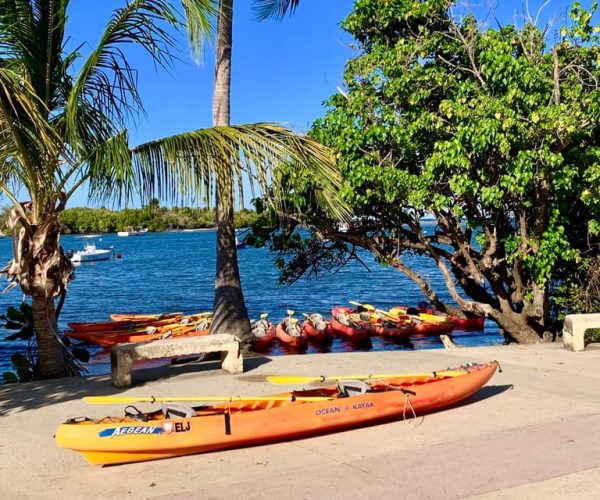 Fajardo: Bioluminescent Lagoon Kayak or Full Moon Kayak Tour – Fajardo, Puerto Rico