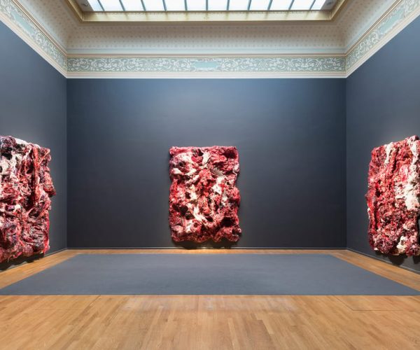 Florence: Anish Kapoor Exhibition ticket at Palazzo Strozzi – Florence, Italy