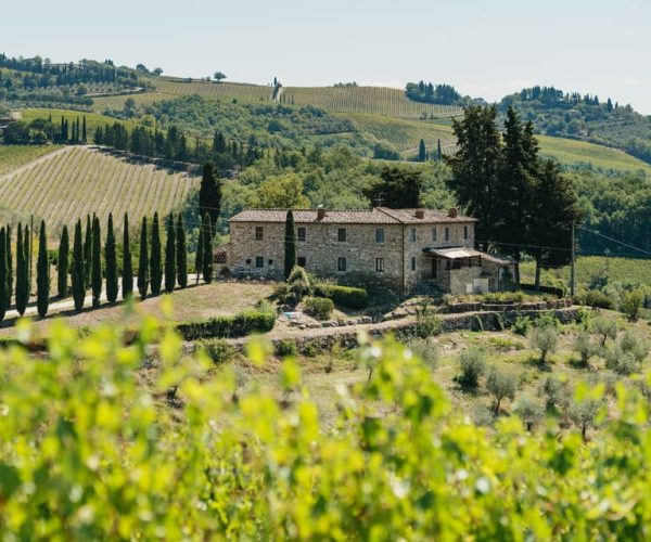 Florence: Chianti Wineries Tour with Food and Wine Tasting – Florence, Italy