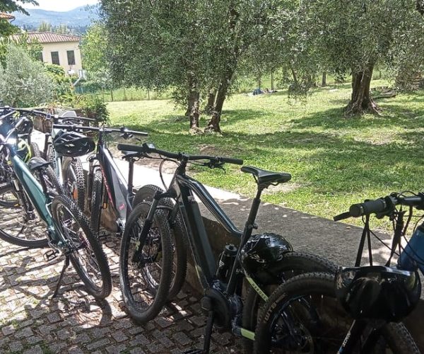 Florence: Country Ebike tour + Wine tasting in organic farm – Florence, Italy