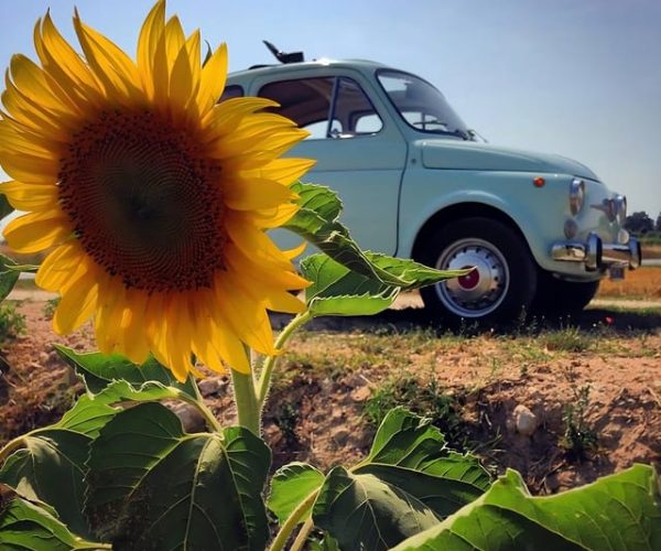 Florence: Fiat 500 Oltrarno Hills with Gelato – Florence, Italy